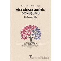Aile Şirketlerinin Dönüşümü - Senem Kılıç - Varyant Yayıncılık