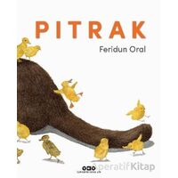 Pıtrak - Feridun Oral - Yapı Kredi Yayınları