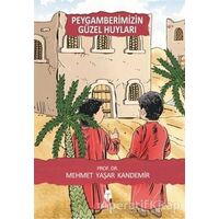 Peygamberimizin Güzel Huyları - Mehmet Yaşar Kandemir - Tahlil Yayınları