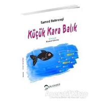 Küçük Kara Balık - Samed Behrengi - Kalender Yayınevi
