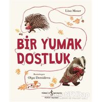 Bir Yumak Dostluk - Lisa Moser - İş Bankası Kültür Yayınları