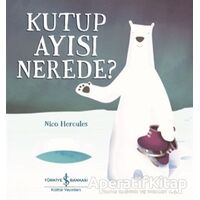 Kutup Ayısı Nerede? - Nico Hercules - İş Bankası Kültür Yayınları