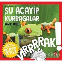 Daha da Küçükler İçin Şu Acayip Kurbağalar - Daha da Küçükler İçin Acayip Şeyler 3