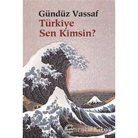 Türkiye Sen Kimsin? - Gündüz Vassaf - İletişim Yayınevi