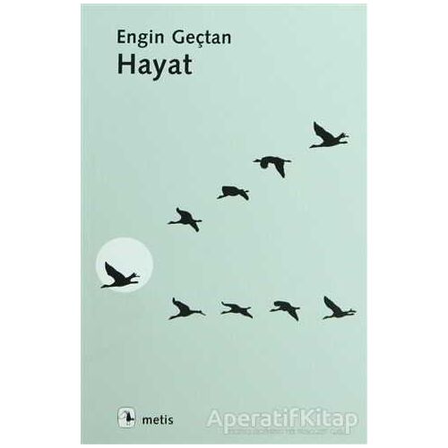 Hayat - Engin Geçtan - Metis Yayınları