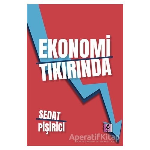 Ekonomi Tıkırında - Sedat Pişirici - Efil Yayınevi