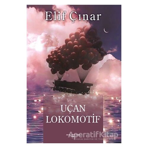 Uçan Lokomotif - Elif Çınar - Sokak Kitapları Yayınları