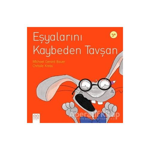 Eşyalarını Kaybeden Tavşan - Chrissie Krebs - 1001 Çiçek Kitaplar