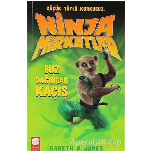 Ninja Mirketler - Buz Dağından Kaçış - Gareth P. Jones - Final Kültür Sanat Yayınları