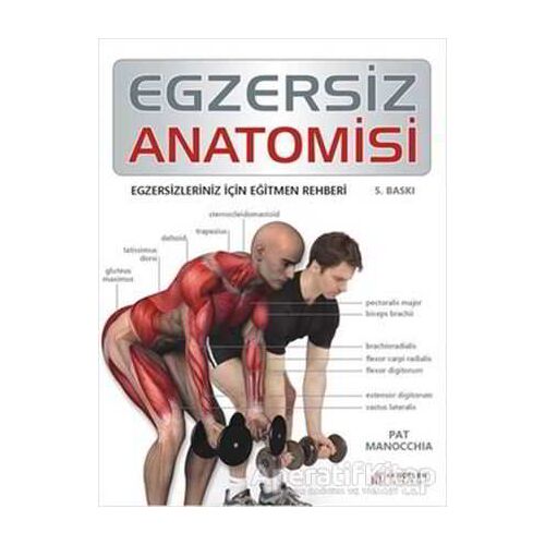 Egzersiz Anatomisi - Pat Manocchia - Akıl Çelen Kitaplar