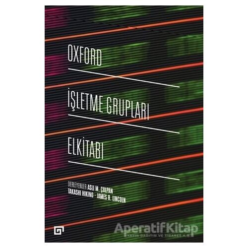 Oxford İşletme Grupları Elkitabı - Aslı M. Çolpan - Koç Üniversitesi Yayınları