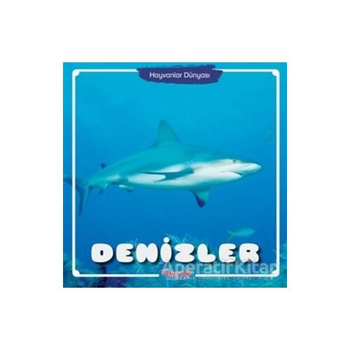 Denizler - Hayvanlar Dünyası - Kolektif - Yumurcak Yayınları
