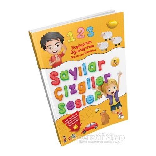 Büyüyorum Öğreniyorum Okul Öncesi Etkinlikleri Sayılar Çizgiler Sesler