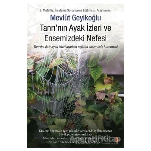 Tanrının Ayak İzleri ve Ensemizdeki Nefesi - Mevlüt Geyikoğlu - Cinius Yayınları