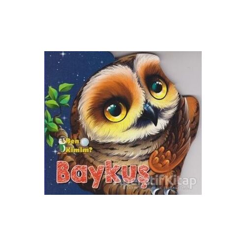 Baykuş - Kolektif - Parıltı Yayınları