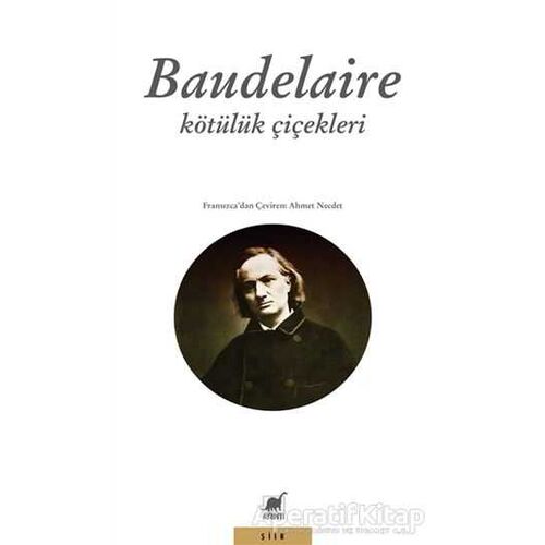 Kötülük Çiçekleri - Charles Baudelaire - Ayrıntı Yayınları