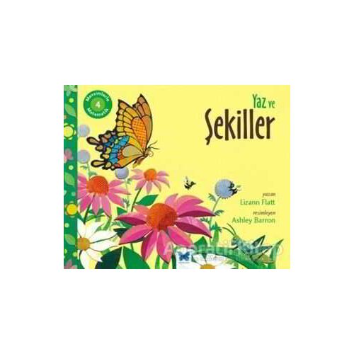 Mevsimlerle Matematik 4: Yaz ve Şekiller - Lizann Flatt - Mavi Kelebek Yayınları
