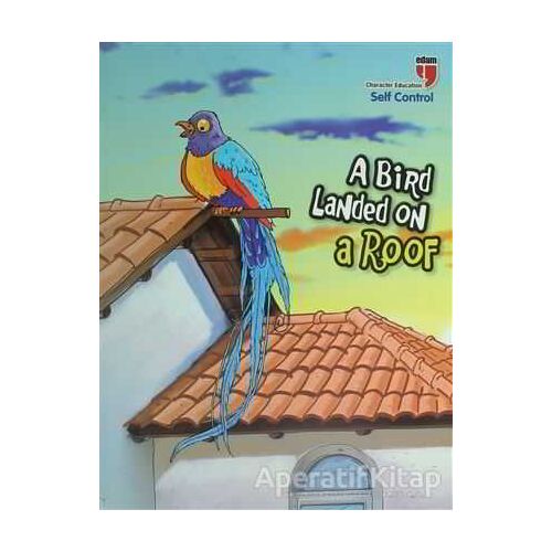 A Bird Landed on a Roof - Self Control - Neriman Karatekin - EDAM