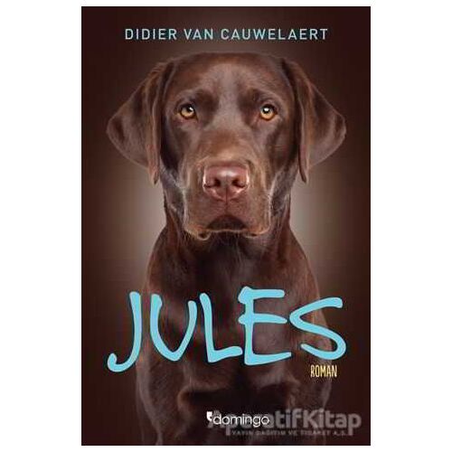 Jules - Didier von Cauwelaert - Domingo Yayınevi