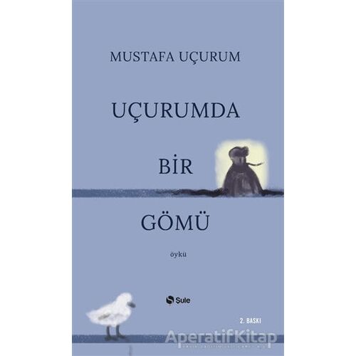 Uçurumda Bir Gömü - Mustafa Uçurum - Şule Yayınları