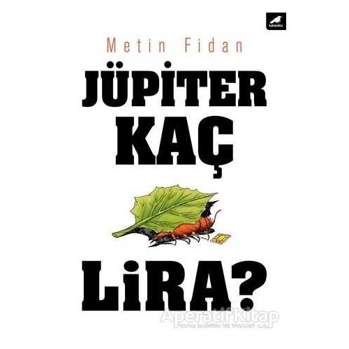 Jüpiter Kaç Lira? - Metin Fidan - Kara Karga Yayınları