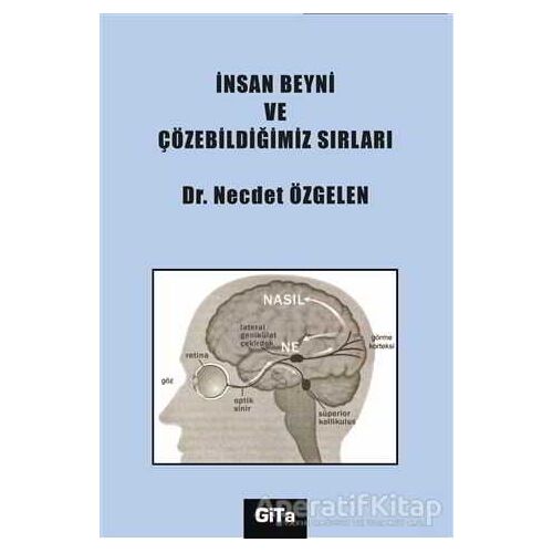 İnsan Beyni ve Çözebildiğimiz Sırları - Necdet Özgelen - Gita Yayınları
