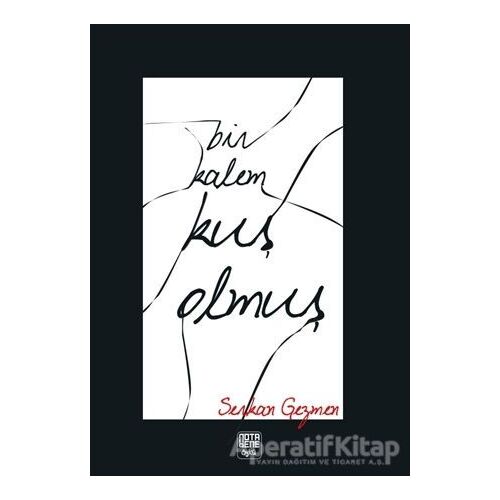 Bir Kalem Kuş Olmuş - Serkan Gezmen - Nota Bene Yayınları