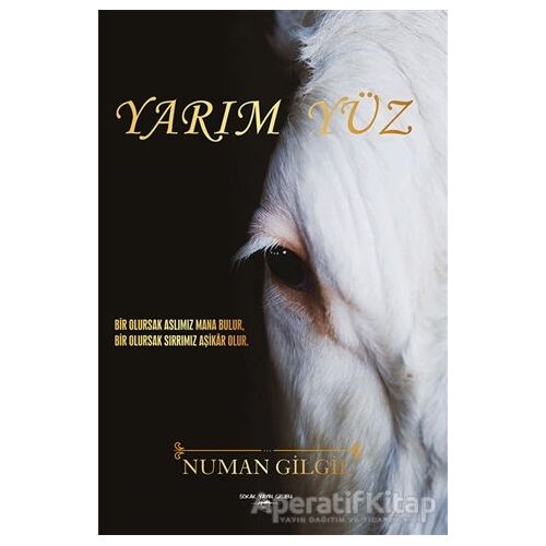 Yarım Yüz - Numan Gilgil - Sokak Kitapları Yayınları