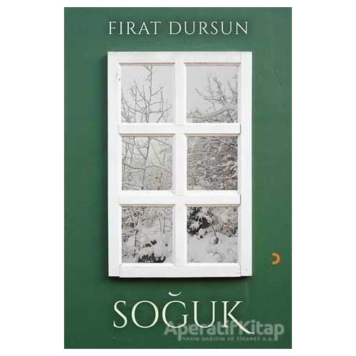 Soğuk - Fırat Dursun - Cinius Yayınları