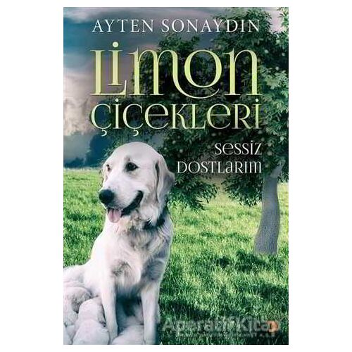 Limon Çiçekleri - Ayten Sonaydın - Cinius Yayınları