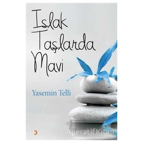 Islak Taşlarda Mavi - Yasemin Telli - Cinius Yayınları