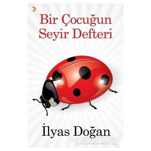 Bir Çocuğun Seyir Defteri - İlyas Doğan - Cinius Yayınları