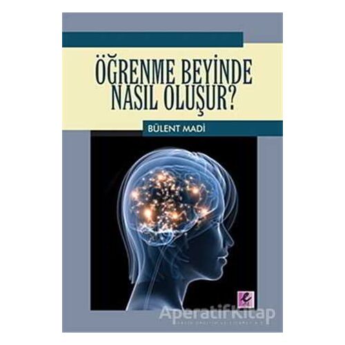 Öğrenme Beyinde Nasıl Oluşur? - Bülent Madi - Efil Yayınevi