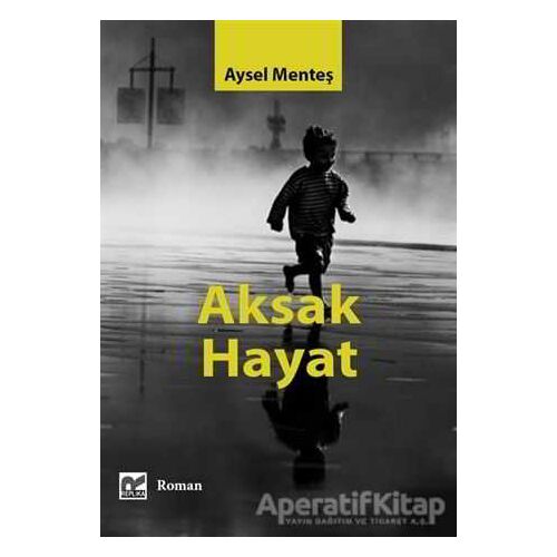 Aksak Hayat - Aysel Menteş - Başka Yerler Yayınları
