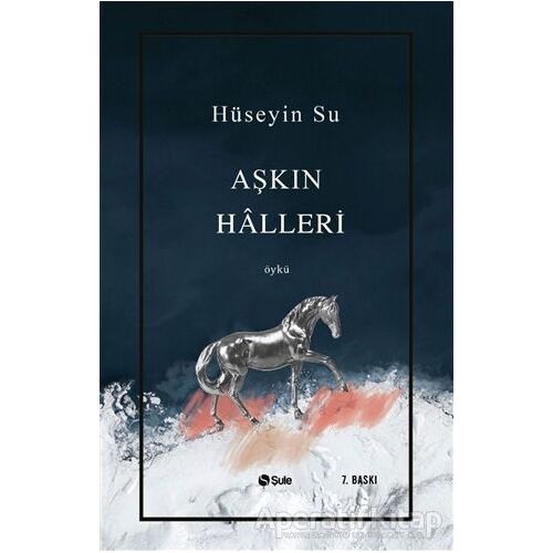 Aşkın Halleri - Hüseyin Su - Şule Yayınları