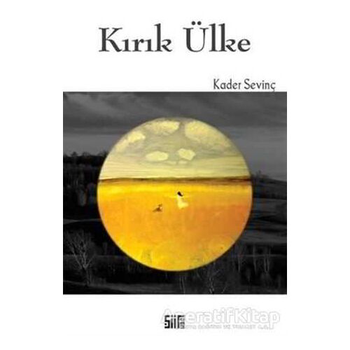 Kırık Ülke - Kader Sevinç - Şiirden Yayıncılık