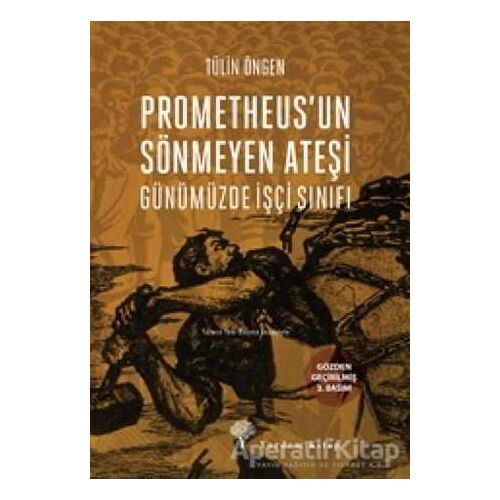 Prometheusun Sönmeyen Ateşi - Tülin Öngen - Yordam Kitap