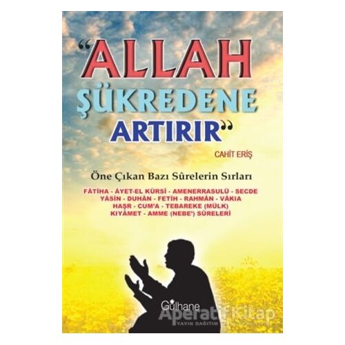 Allah Şükredene Artırır - Cahit Eriş - Gülhane Yayınları