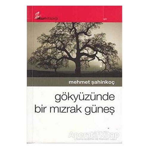 Gökyüzünde Bir Mızrak Güneş - Mehmet Şahinkoç - Okur Kitaplığı