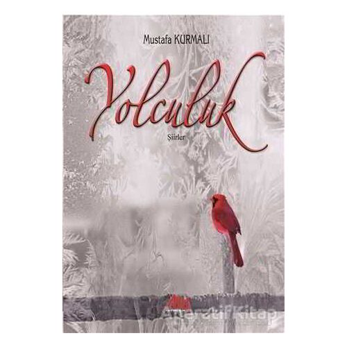 Yolculuk - Mustafa Kurmalı - Baygenç Yayıncılık