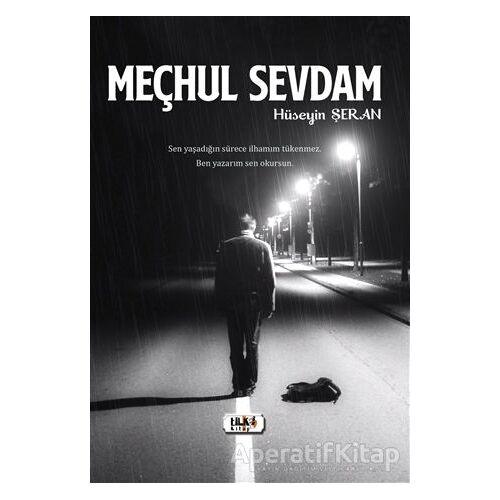 Meçhul Sevdam - Hüseyin Şeran - Tilki Kitap