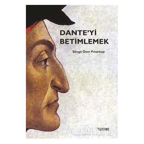 Danteyi Betimlemek - Simge Özer Pınarbaşı - Tekhne Yayınları