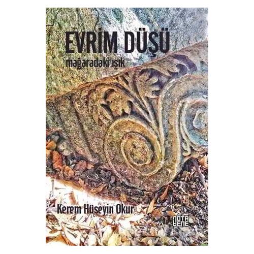 Evrim Düşü - Kerem Hüseyin Okur - Nota Bene Yayınları