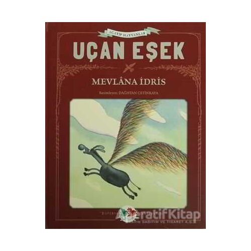 Uçan Eşek - Mevlana İdris - Vak Vak Yayınları