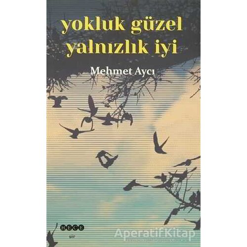 Yokluk Güzel Yalnızlık İyi - Mehmet Aycı - Hece Yayınları