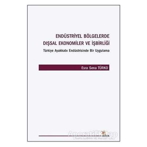 Endüstriyel Bölgelerde Dışsal Ekonomiler ve İşbirliği - Esra Sena Türko - Kriter Yayınları