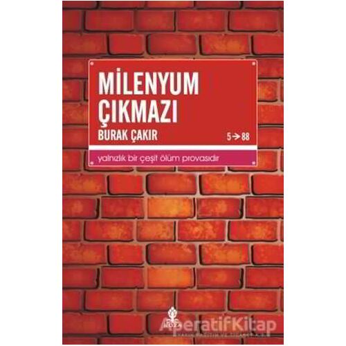 Milenyum Çıkmazı - Burak Çakır - Roza Yayınevi