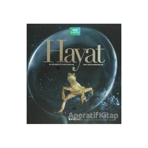 Hayat - Martha Holmes - Boyut Yayın Grubu
