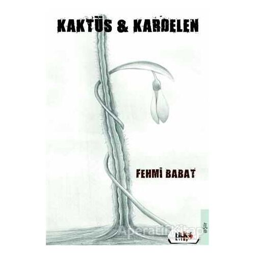 Kaktüs ve Kardelen - Fehmi Babat - Tilki Kitap