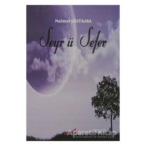 Seyr ü Sefer - Mehmet Gözükara - Berikan Yayınevi